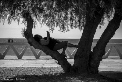Purto Màdrin - relax sull'albero.