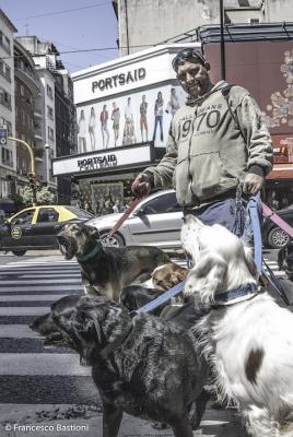 Buenos Aires - dog sitter.