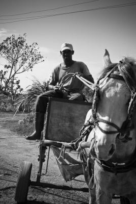 Rincon (La Habana) - lavori di campagna.