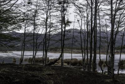 Ushuaia - paesaggio australe