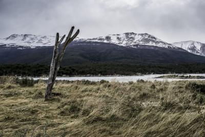 Ushuaia - paesaggio australe